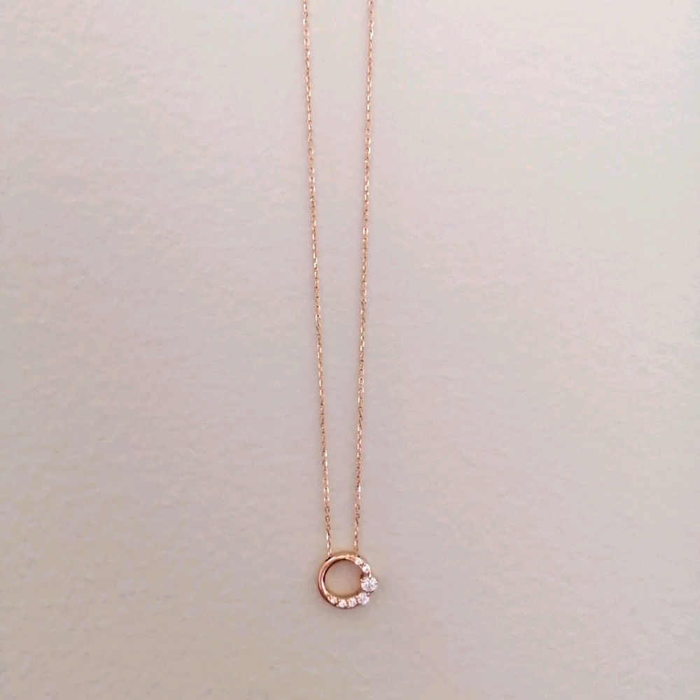 $250 Canal 4°C Necklace